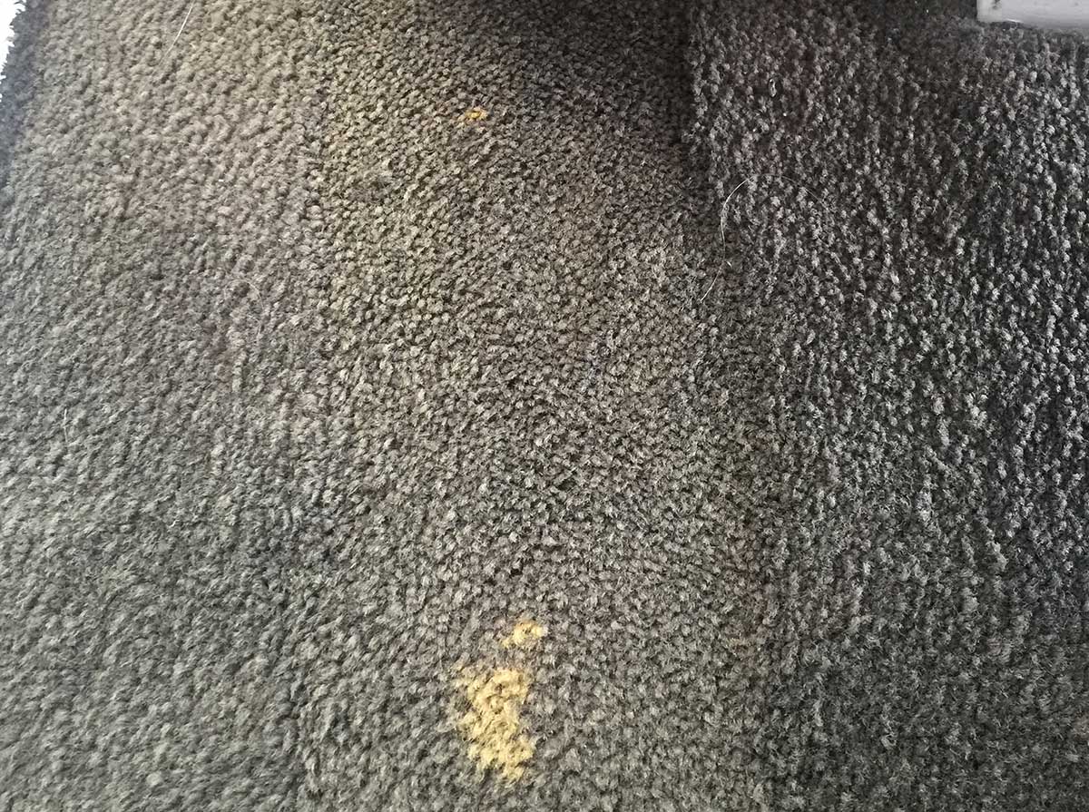 Bleach Spot Repair Aireys Inlet - Evolution Carpet Dyeing